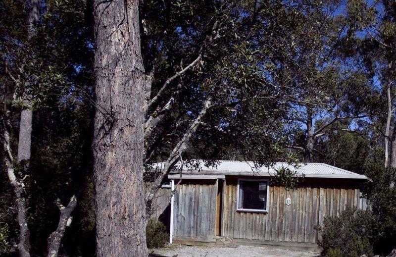 Discovery Parks - Cradle Mountain Accommodation Eksteriør billede